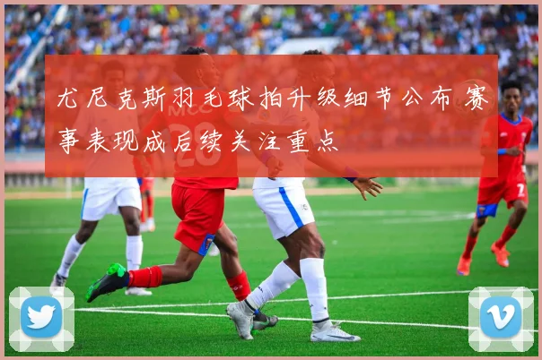 尤尼克斯羽毛球拍升级细节公布 赛事表现成后续关注重点