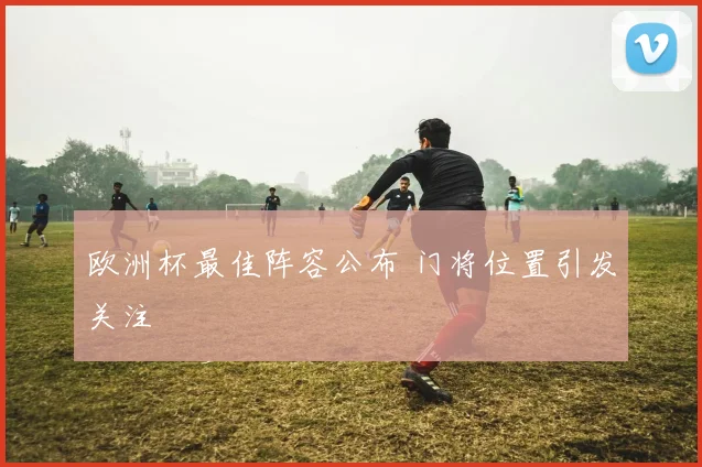 欧洲杯最佳阵容公布 门将位置引发关注