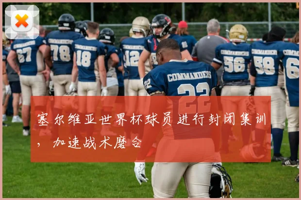 塞尔维亚世界杯球员进行封闭集训，加速战术磨合