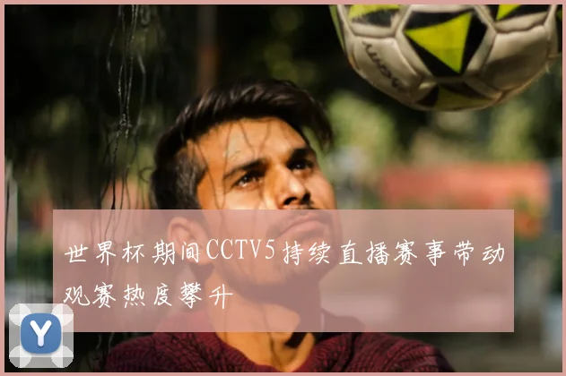 世界杯期间CCTV5持续直播赛事带动观赛热度攀升